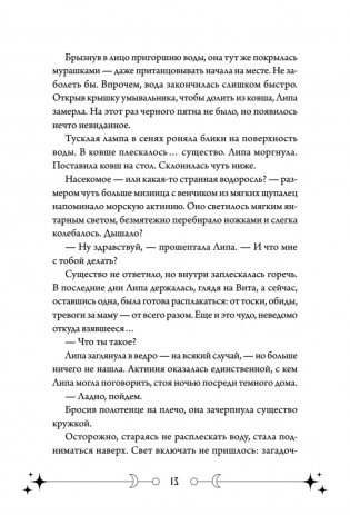 Фейрум фото книги 13