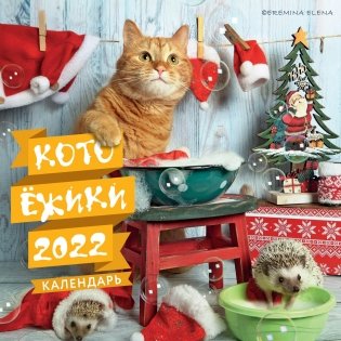 Котоёжики. Календарь настенный на 2022 год фото книги