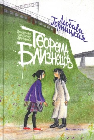 Теорема близнецов фото книги