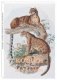Кошки. Иллюстрации Д.-Ж. Эллиота. (Набор из 15 открыток) фото книги маленькое 2