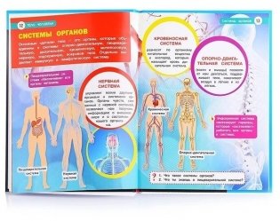 Тело человека. Энциклопедия с развивающими заданиями фото книги 2