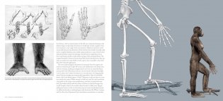 Jay Matternes фото книги 6