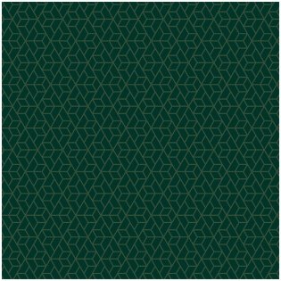 Упаковочная бумага глянц. 70*100см, MESHU "Dark green", 90г/м2 фото книги 2