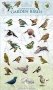 Sticker Play Scene. Garden birds: Loose-leaf фото книги маленькое 2