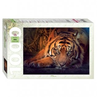 Пазл "Сибирский тигр", 1000 элементов фото книги