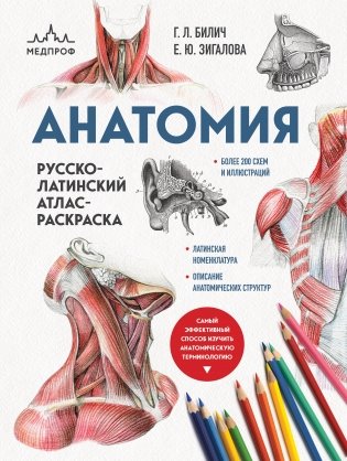 Анатомия: русско-латинский атлас-раскраска (новое оформление, новый формат) фото книги