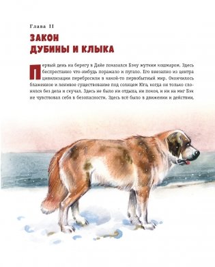 Зов предков (ил. В. Канивца) фото книги 25