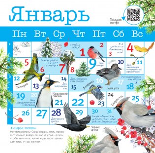 Календарь Птицы России с голосами 2026 год фото книги 2