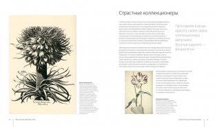 Ботаника для художника. Полное руководство по рисованию растений фото книги 9