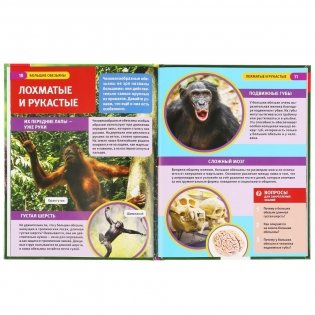 Большие обезьяны фото книги 3