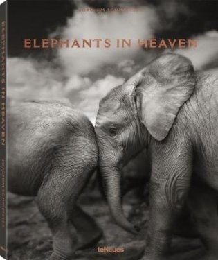 Elephants in Heaven фото книги