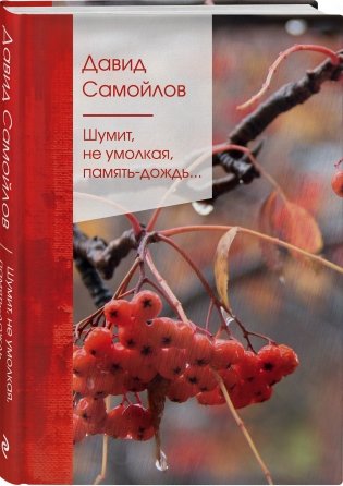 Шумит, не умолкая, память-дождь... фото книги 2