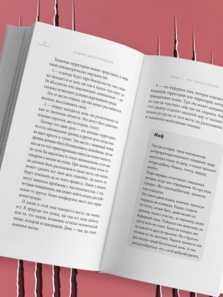 Кошачий закон и порядок. Как найти общий язык с кошкой и не стать жертвой ее капризов фото книги 2