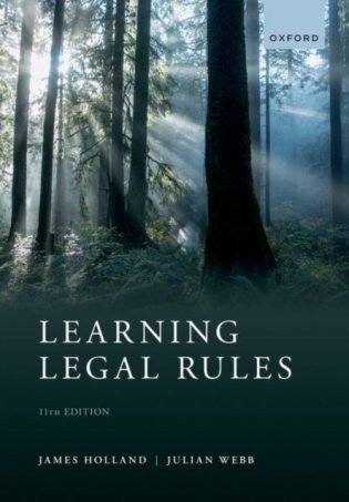 Learning legal rules фото книги