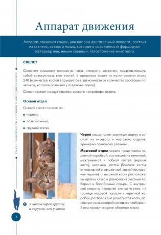 Здоровье вашей кошки фото книги 8
