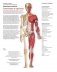 Анатомия человека: болезни и нарушения фото книги маленькое 3