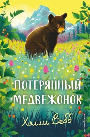 Потерянный медвежонок фото книги