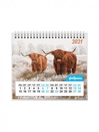 Календарь-домик на 2021 год "Символ года 1" (евро) фото книги 3