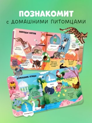 Любимые животные. Энциклопедия с окошками фото книги 7