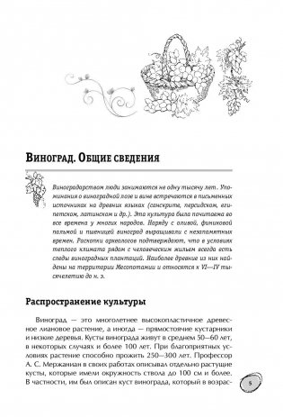 Большая энциклопедия виноградаря фото книги 6