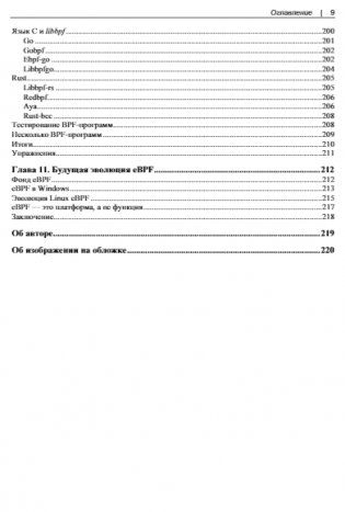 Изучаем eBPF: программирование ядра Linux для улучшения безопасности, сетевых функций и наблюдаемости фото книги 9