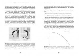 Антихрупкость. Как извлечь выгоду из хаоса фото книги 14