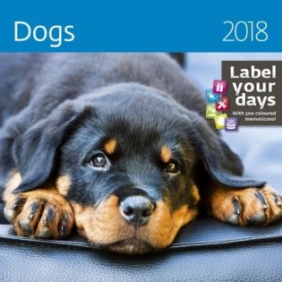 Dogs (Собаки). Календарь-органайзер на пружине на 2018 год фото книги