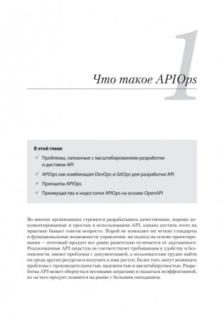 Автоматизация доставки API. Улучшаем скорость и качество с APIOps и OpenAPI фото книги 13