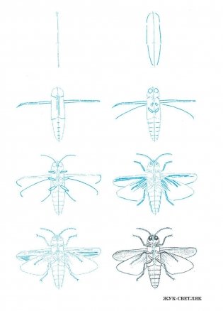 Рисуем 50 насекомых. Учебное пособие фото книги 4