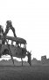 Эта тварь неизвестной природы фото книги маленькое 4