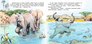 Приключения слоненка фото книги 2