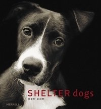 Shelter Dogs фото книги