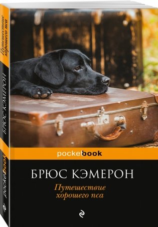 Путешествие хорошего пса фото книги 2