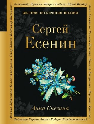 Анна Снегина фото книги