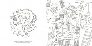 Кошки фото книги 2