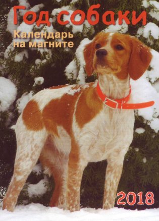 Календарь листовой на магните "Год собаки" на 2018 год фото книги