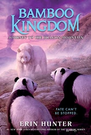 Bamboo Kingdom #3: Journey to the Dragon Mountain фото книги