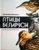 Птицы Беларуси фото книги маленькое 2