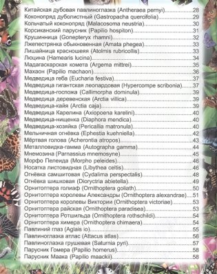 Энциклопедия. Бабочки фото книги 3