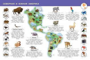 Животные нашей планеты. Моя первая энциклопедия с наклейками фото книги 4
