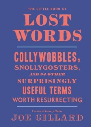 Little Book Of Lost Words, The фото книги