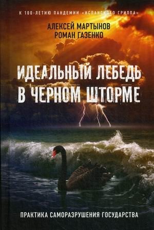 Идеальный лебедь в черном шторме. Практика саморазрушения государства фото книги