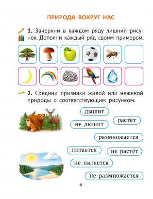 Человек и мир. 2 класс. Рабочая тетрадь фото книги 3