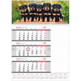 Календарь квартальный "Mono. Год собаки", с бегунком, блок для заметок, на 2018 год фото книги