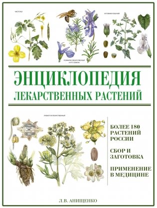 Энциклопедия лекарственных растений фото книги