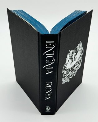 Enigma фото книги 5