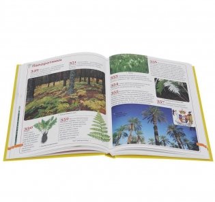 Современная детская энциклопедия. 1000+1 ответ на вопросы почемучек фото книги 3
