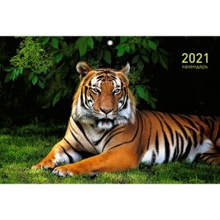 Календарь квартальный на 2021 год, трехблочный "Дикие животные", 305x680 мм фото книги