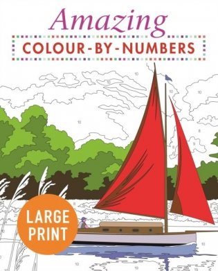 Amazing Colour-by-Numbers Large Print фото книги