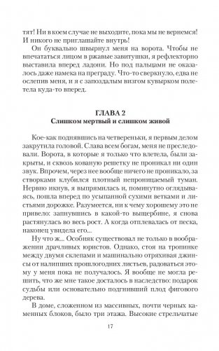 Госпожа Потусторонья фото книги 16